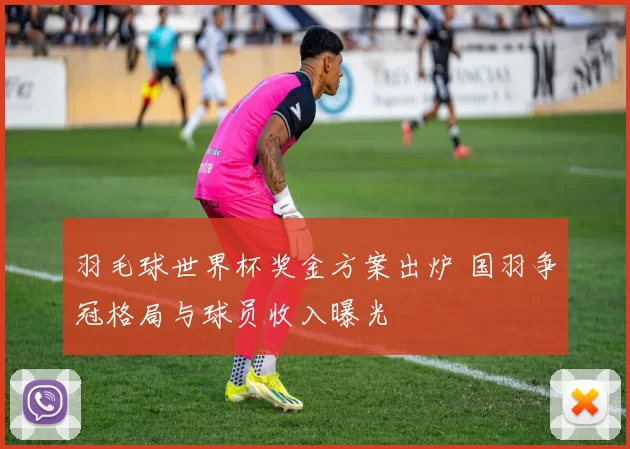 羽毛球世界杯奖金方案出炉 国羽争冠格局与球员收入曝光