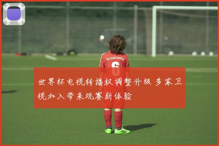 世界杯电视转播权调整升级 多家卫视加入带来观赛新体验