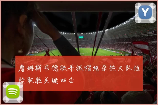 詹姆斯韦德联手抓帽绝杀热火队惊险取胜关键回合
