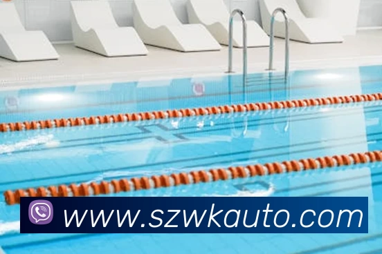 App Interface Preview