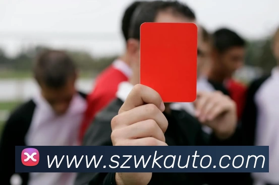 亚搏app登陆·(中国)官方网站APP 封面图